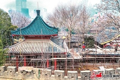 歷史建筑加固技術案例,歷史建筑加固技術應用案例分析 行業新聞 第6張 歷史建筑加固技術案例,歷史建筑加固技術應用案例分析 行業新聞 第6張