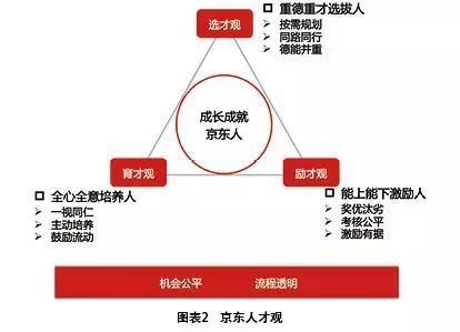 如何制定個性化人才培養方案？高效制定個性化人才培養方案的實用指南 行業新聞 第2張