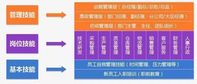 如何制定個性化人才培養方案？高效制定個性化人才培養方案的實用指南 行業新聞 第3張