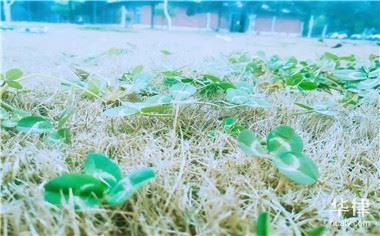 勞務(wù)分包企業(yè)注冊(cè)資金要求,勞務(wù)分包企業(yè)注冊(cè)資金要求及標(biāo)準(zhǔn)解析 行業(yè)新聞 第2張 勞務(wù)分包企業(yè)注冊(cè)資金要求,勞務(wù)分包企業(yè)注冊(cè)資金要求及標(biāo)準(zhǔn)解析 行業(yè)新聞 第2張