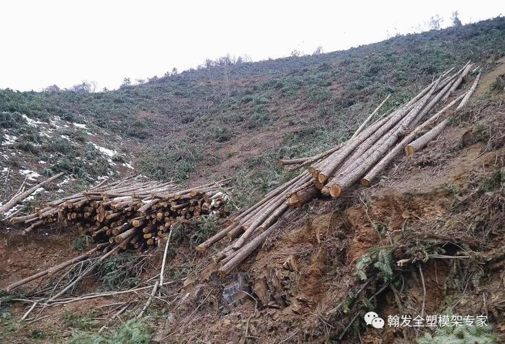 建筑加固材料的環保標準,建筑加固材料的環保標準與要求 行業新聞 第3張 建筑加固材料的環保標準,建筑加固材料的環保標準與要求 行業新聞 第3張