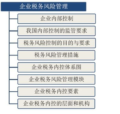 稅務(wù)風(fēng)險(xiǎn)管理內(nèi)部控制要點(diǎn),企業(yè)稅務(wù)風(fēng)險(xiǎn)管理內(nèi)部控制關(guān)鍵要點(diǎn)解析 行業(yè)新聞 第6張 稅務(wù)風(fēng)險(xiǎn)管理內(nèi)部控制要點(diǎn),企業(yè)稅務(wù)風(fēng)險(xiǎn)管理內(nèi)部控制關(guān)鍵要點(diǎn)解析 行業(yè)新聞 第6張