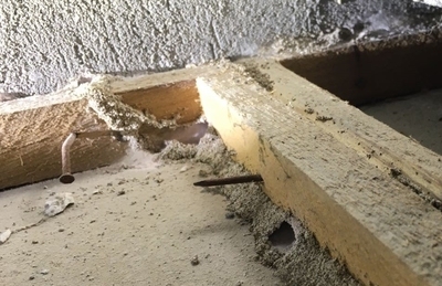 建筑加固后白蟻防治案例,建筑加固工程中的白蟻防治成功案例分析 行業新聞 第3張 建筑加固后白蟻防治案例,建筑加固工程中的白蟻防治成功案例分析 行業新聞 第3張
