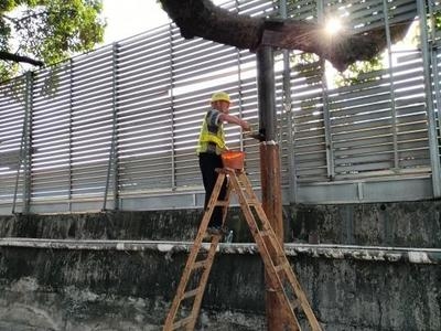 建筑加固后白蟻防治案例,建筑加固工程中的白蟻防治成功案例分析 行業新聞 第2張 建筑加固后白蟻防治案例,建筑加固工程中的白蟻防治成功案例分析 行業新聞 第2張