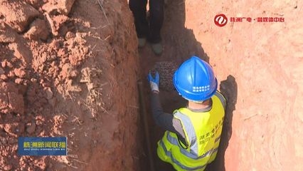 建筑加固后白蟻防治案例,建筑加固工程中的白蟻防治成功案例分析 行業新聞 第4張 建筑加固后白蟻防治案例,建筑加固工程中的白蟻防治成功案例分析 行業新聞 第4張