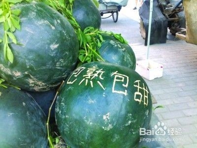 建筑英才網簡歷優化技巧，建筑英才網簡歷優化技巧，打造專業高效的求職簡歷 行業新聞 第2張