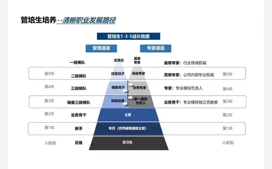 加固公司職業發展路徑,加固公司職業發展路徑全解析,從新手到專家的進階 行業新聞 第4張 加固公司職業發展路徑,加固公司職業發展路徑全解析,從新手到專家的進階 行業新聞 第4張