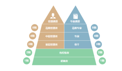 加固公司職業發展路徑,加固公司職業發展路徑全解析,從新手到專家的進階 行業新聞 第5張 加固公司職業發展路徑,加固公司職業發展路徑全解析,從新手到專家的進階 行業新聞 第5張