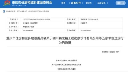 加固設計院資質違規處罰 行業新聞 第4張 加固設計院資質違規處罰 行業新聞 第4張