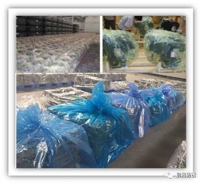 鋼筋混凝土裂縫控制的關鍵因素，混凝土裂縫控制的關鍵因素 行業新聞 第2張