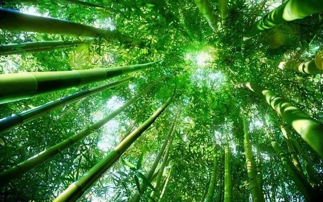 建筑結構抗震設計中的剛度比應用，結構抗震設計中的剛度比應用研究 行業新聞 第3張