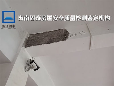 梁加固材料選擇指南 行業新聞 第6張 梁加固材料選擇指南 行業新聞 第6張