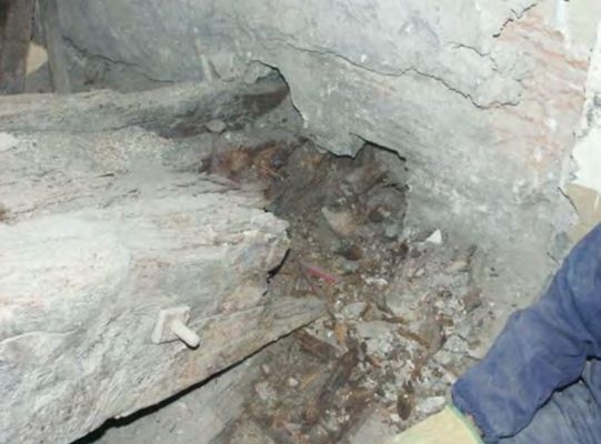 建筑加固后的病蟲害防治,加固后病蟲害防治策略 行業(yè)新聞 第2張 建筑加固后的病蟲害防治,加固后病蟲害防治策略 行業(yè)新聞 第2張