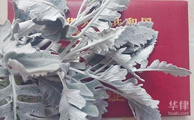 開發商違約責任追究,商違約責任追究,法律框架與實踐指南 行業新聞 第5張 開發商違約責任追究,商違約責任追究,法律框架與實踐指南 行業新聞 第5張