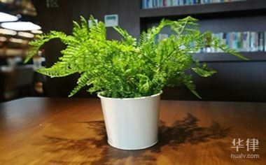 建筑設計圖紙版權查詢流程，設計圖紙版權查詢流程指南 行業新聞 第1張