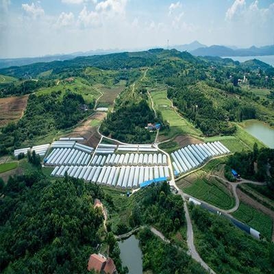 建筑病蟲害監測技術應用，病蟲害監測技術的應用與
